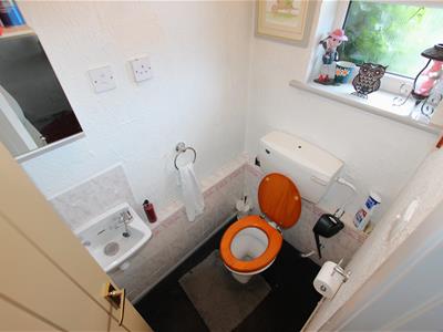 Picture 7